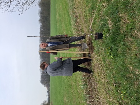 Sajenje medovitih rastlin  13